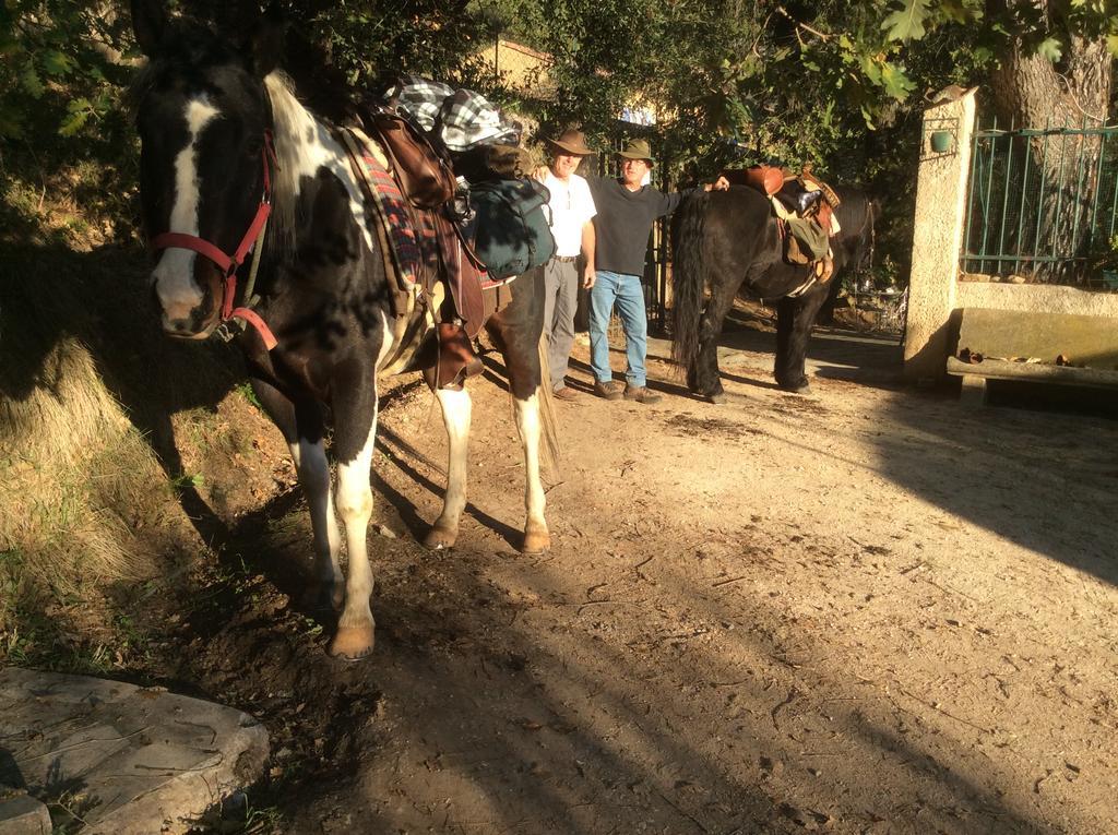Lou Ribas Daire Puyloubier Dış mekan fotoğraf